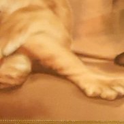 �������, 46 ���, ������