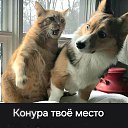   , , 72  -  6  2025    