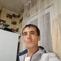 ������, 40 ���, ���