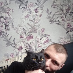 �����, 40 ���, ���������