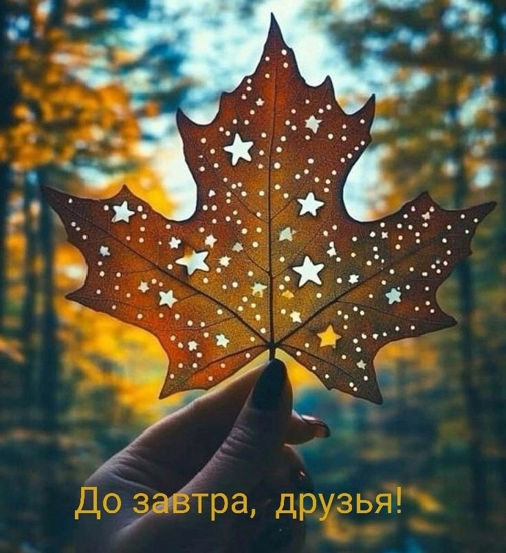   ,    . - 28  2025  22:20