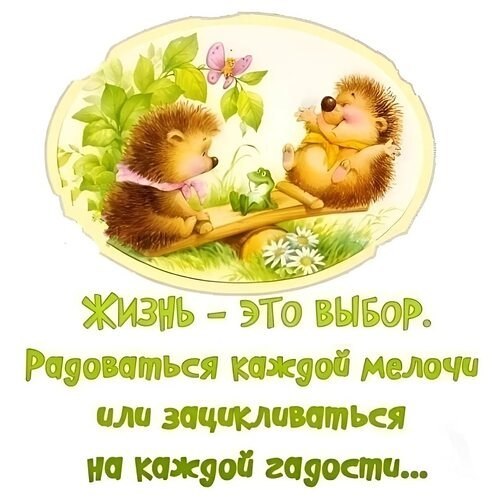 Miss X - 8  2025  01:44