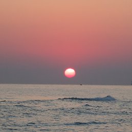 ���������, ����������, 76 ���