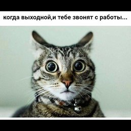, , 41 