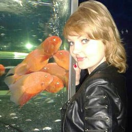 ����, ���������, 38 ���