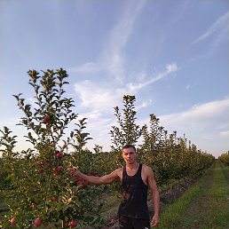 Sorin, �������, 46 ���