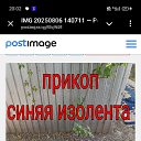 ���� ��������, ������, 39 ��� - ��������� 6 ������� 2025 � ������ ������ ��������