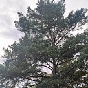 ���� �������, ���������, 53 ���� - ��������� 21 �������� 2024 � ������ ���� ����������