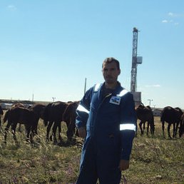 �������, �����, 48 ���