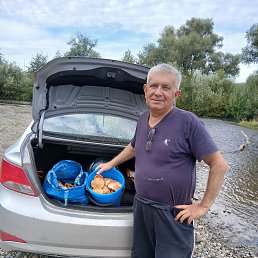 , 65 , 