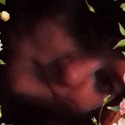 , 37 , 