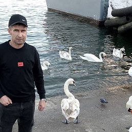 ���� �������, ����-���, 40 ��� - ��������� 14 ������� 2025