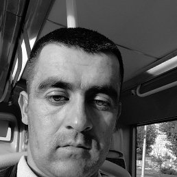 , 40 , 