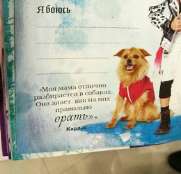 �����������