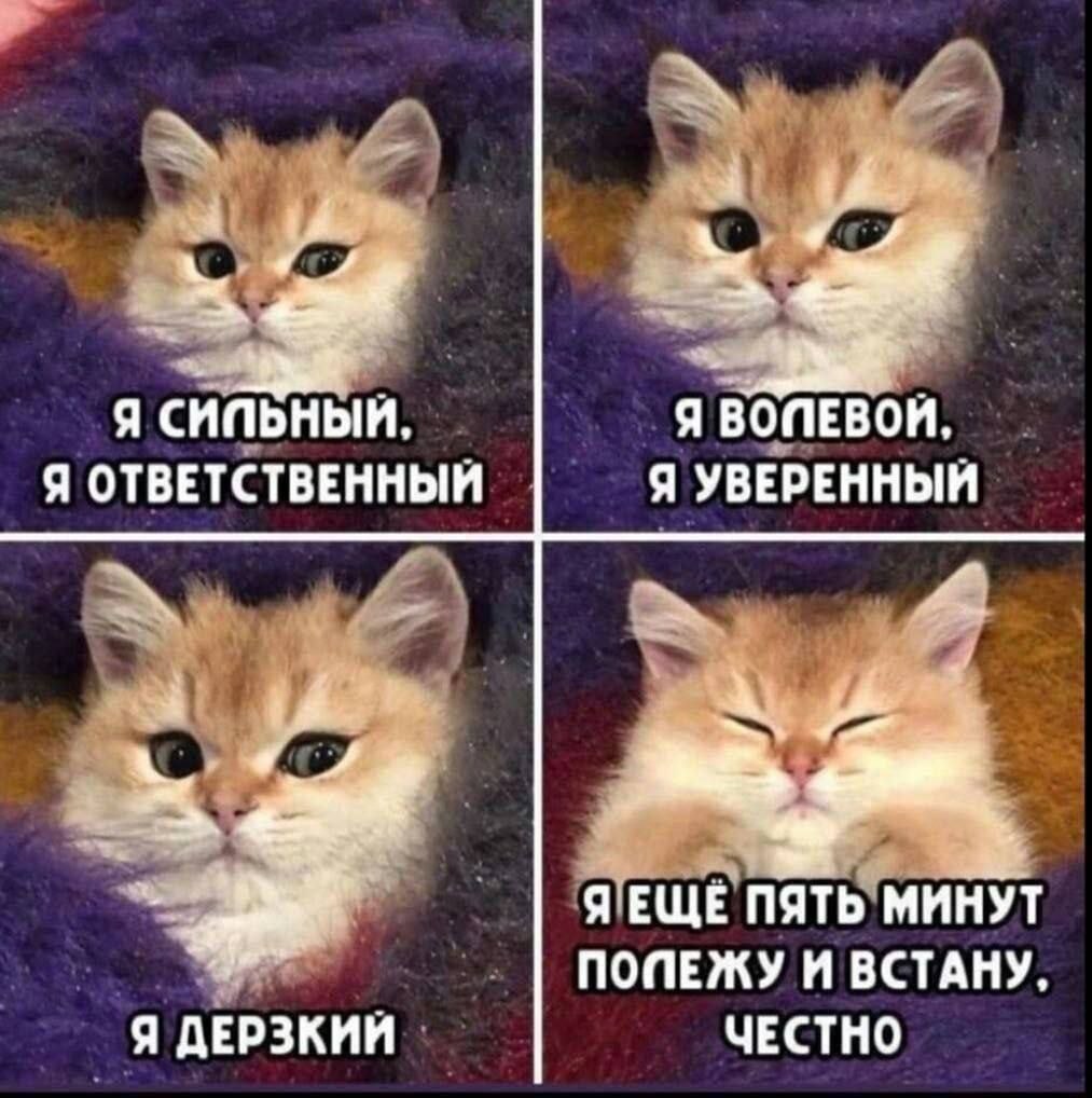 ОБО ВСЕМ - 17 сентября 2025 в 09:56