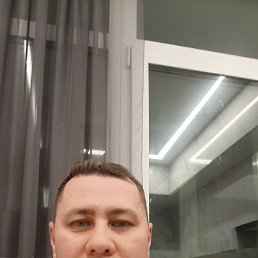 ������, 41 ���, ���������