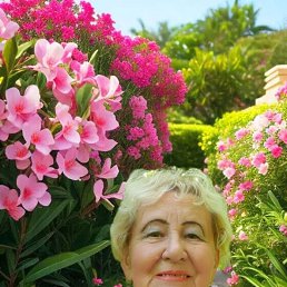 , 67, 