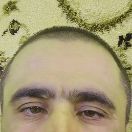 , 34, 