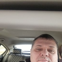 ������, 46 ���, ���