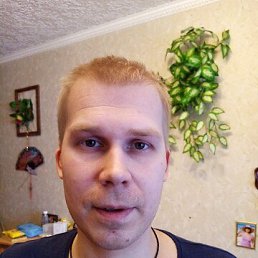 , 36, 
