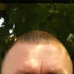 , 49, 