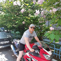 , 52, 