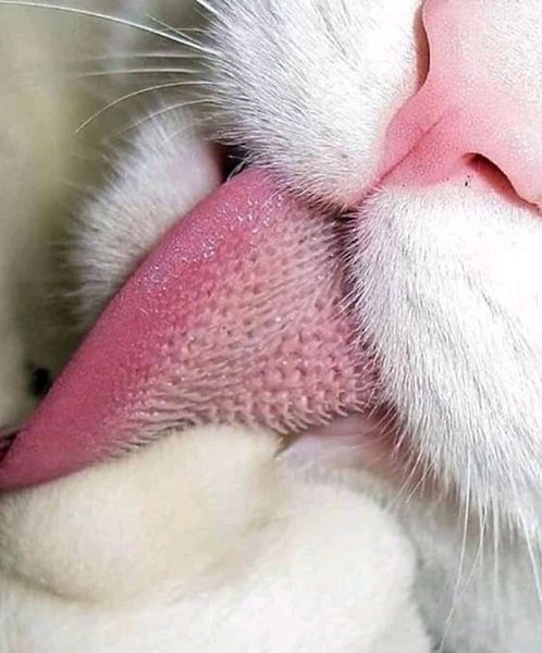    :3 - 3