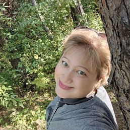 ���� ��������, �����������, 42 ���� - ��������� 29 ����� 2026