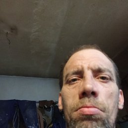 ������ ���������, 42 ����, ����������