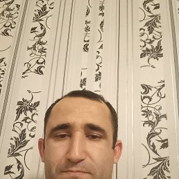 , 39,  