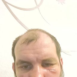 , 38, 