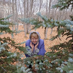 �������, ���������, 69 ���