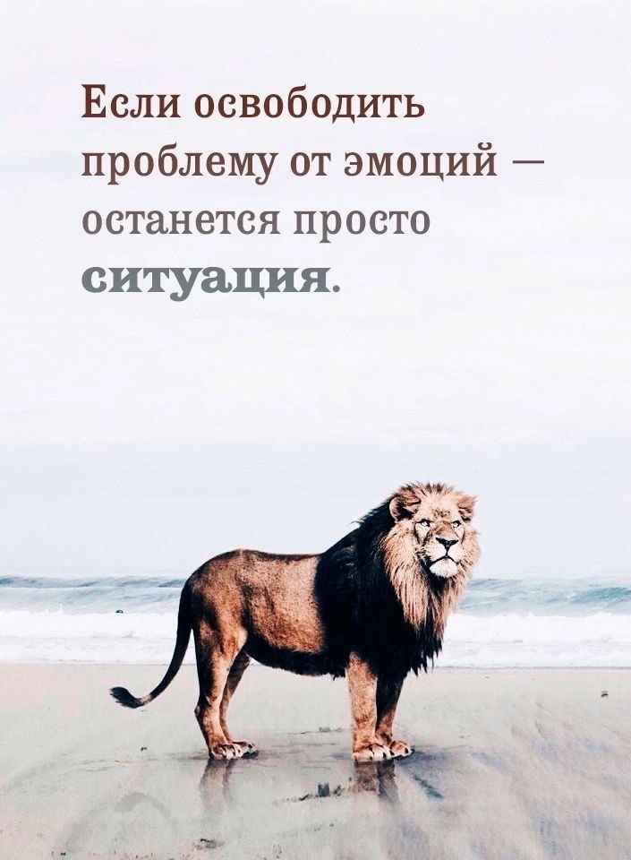   - 8  2025  12:23