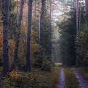 ���� �������, �������, 50 ��� - ��������� 7 ��� 2024 � ������ ���� ����������