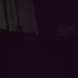 ���� ����, ������, 35 ��� - ��������� 2 ������� 2023