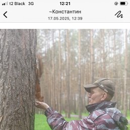 , 41, 