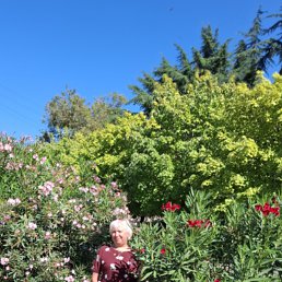 , 59, 