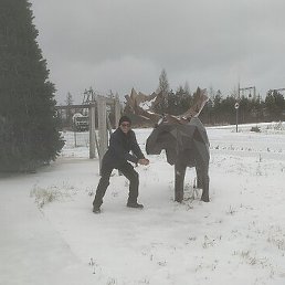 ������, ������, 51 ���