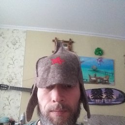 ���� �����, �����-���������, 48 ��� - ��������� 11 ������ 2026