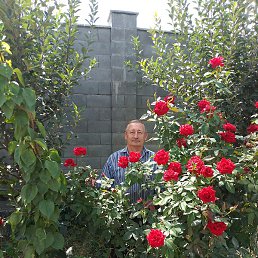 ���������, ������, 65 ���