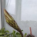 ���� ��������, ������ ��������, 42 ���� - ��������� 31 ���� 2024 � ������ �������
