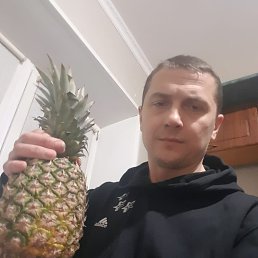 �������, 41 ���, ������