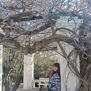 ��������, 22 ����, ������