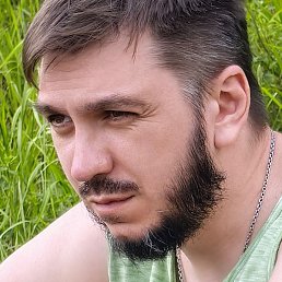 �������, ��������, 41 ���