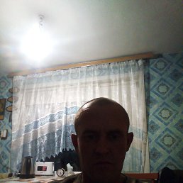 , 37, 