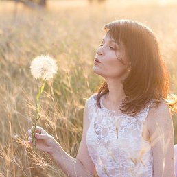 ���� ������, �������� - ��������� 25 ������� 2025