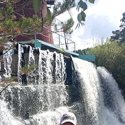 ��������, 36 ���, ������