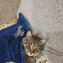 ���� ���������, �����, 60 ��� - ��������� 13 ������ 2024 � ������ ���� ����������