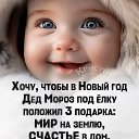 ���� ��������, ����������� - ��������� 20 ������� 2025 � ������ ������ ��������