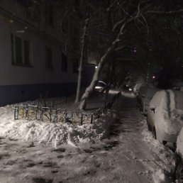 �����, ������, 37 ���